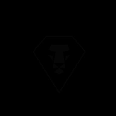 Soul Asylum Gym logo